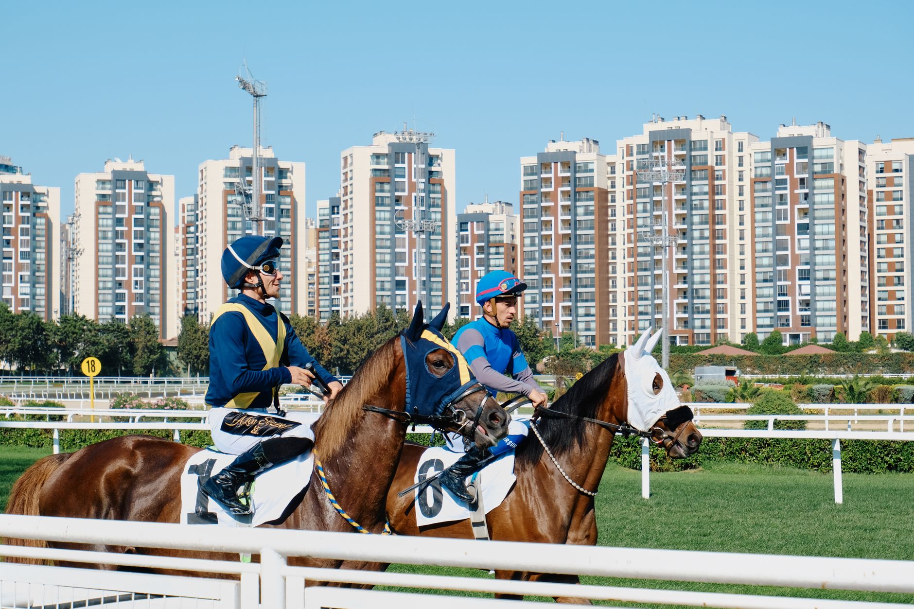 雅佳特賽馬實況：參賽馬、賽果與串流攻略